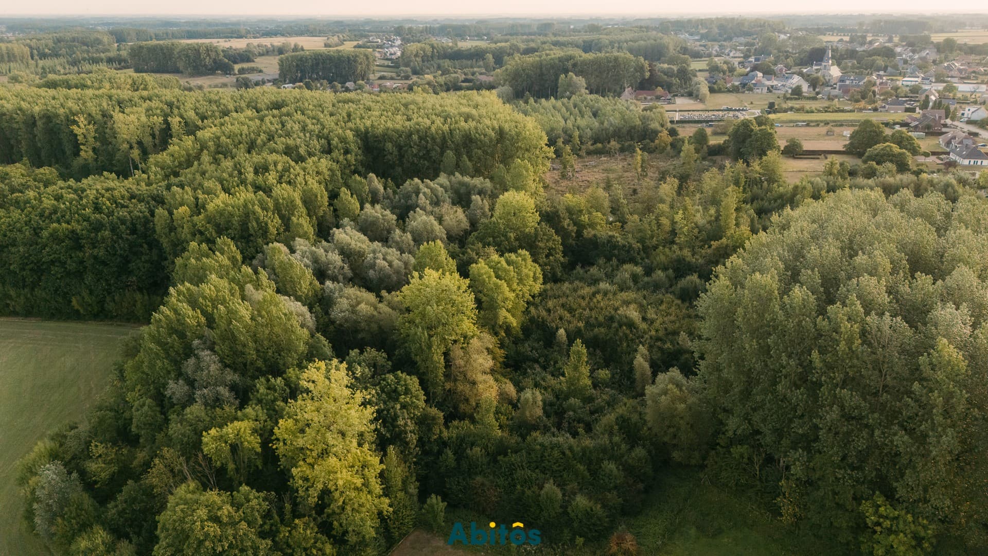 Bosgrond van 11.800 m²